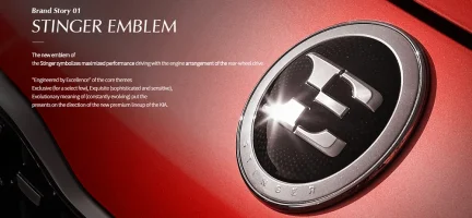 E for Excellence.webp