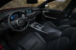 Stinger Black Interior.webp