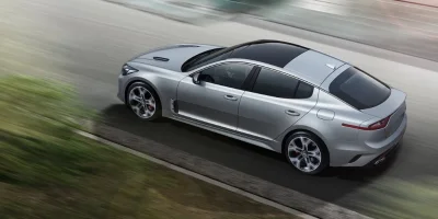 stinger_SILVER.webp