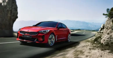 stinger mm red.webp
