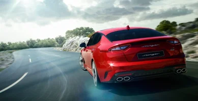stinger mm red 2.webp