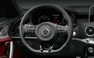 stinger_E steerign wheel.webp