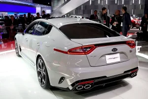 Stinger - Rear 1.webp