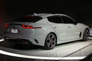 Stinger - Rear 2.webp