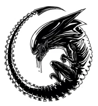 05824d16548d89f5580b26c458c44239.webp