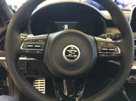 Pic steering wheel.webp