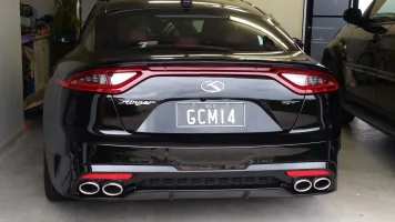 back view Stinger.webp