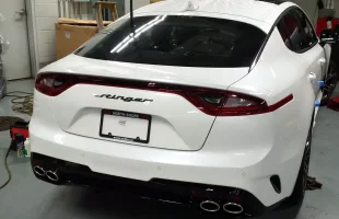 STING REAR.webp