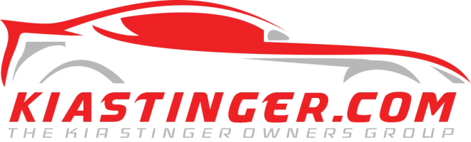 kiastingerdotcom.webp