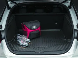 _cargo_tray.webp