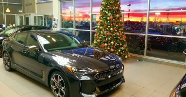 Sunset and Stinger.webp