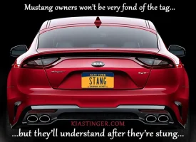 stang.webp