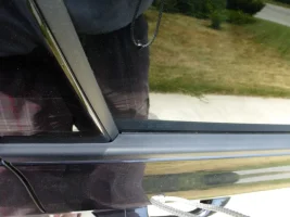 P1010027 (Medium).webp