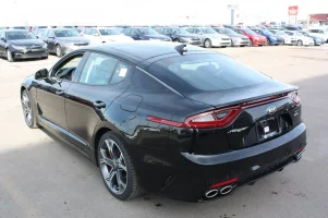 Stinger Gt Black 3.webp Stinger Gt Black 3.webp