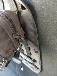 trunk3.webp