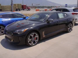 2.Black, GT2.webp
