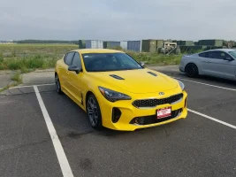 Stinger2.jpg.webp