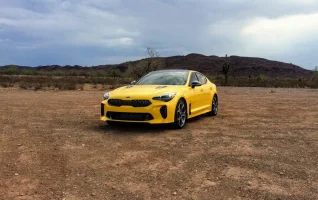 Stinger Desert.webp