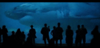 CF6C0EE2-68A1-4D8B-9635-01FFD41D820C.gif