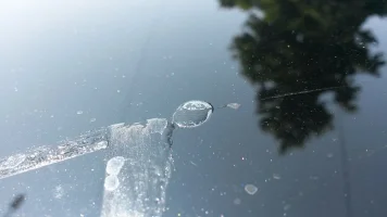 Paint-Bubble-2.webp