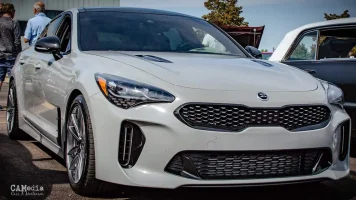 Ceramic Silver Stinger 2.webp