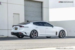 white stinger far shot.webp