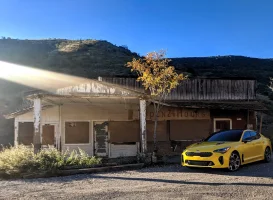 Stinger - Jerome.webp