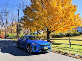 IMG_20181104_110955.webp