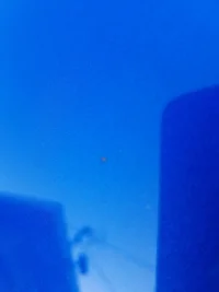 20181105_150942.webp
