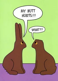 chocbunnies.webp