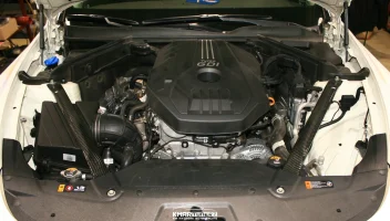 carbonbraces (1 of 1).webp
