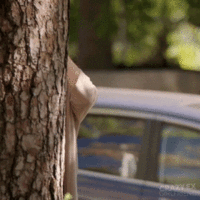 1C24454E-D18F-4D67-AE1E-C5A781212047.gif