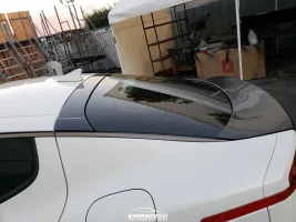 sbmcarbonstinger (1 of 1)-20.webp