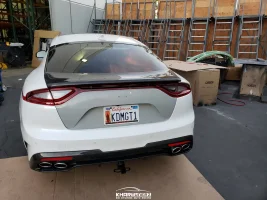 sbmcarbonstinger (1 of 1)-21.webp