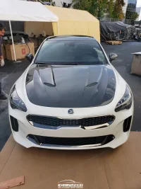 sbmcarbonstinger (1 of 1)-22.webp