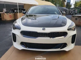 sbmcarbonstinger (1 of 1)-23.webp