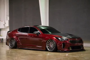 khartunerzstinger (1 of 1)-4.webp