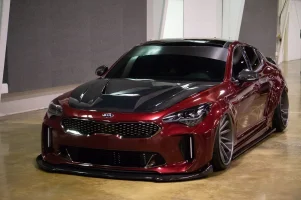 khartunerzstinger (1 of 1)-5.webp