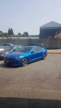 Car Tint Photo.webp