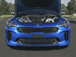kiastingerfmickit.webp