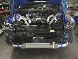 kiastingerfmickit5 - Copy - Copy.webp