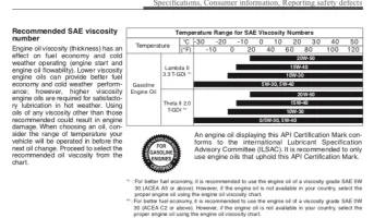 OIl for Stinger.webp