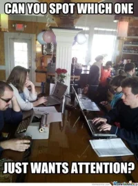 hey-everybody-look-at-me_o_2058609.webp