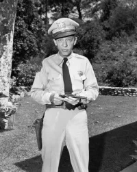 Barney-Fife.webp