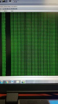50416164_1555732354529934_85471189220196352_n.webp