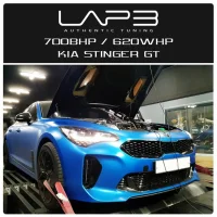 STINGERcopy.webp