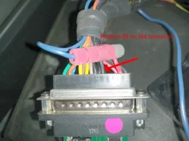 stinger_iat_1.webp