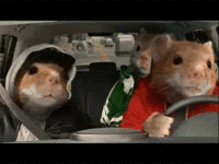 A25EAED7-0B7A-4273-9C0E-93FCD771533E.gif