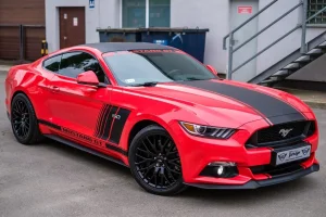 mustang-2338356_960_720.webp