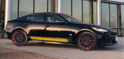 black stinger.webp